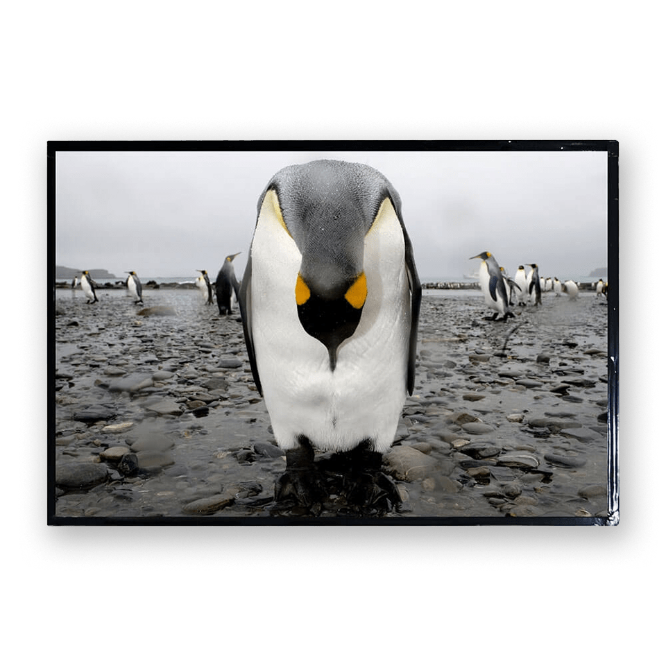 Litemax 1505-I professional display and touch screen monitor sunlight readable LCD