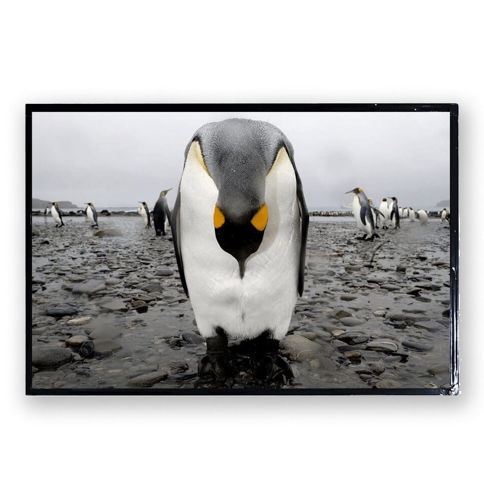Litemax 2386-I professional display and touch screen monitor sunlight readable LCD