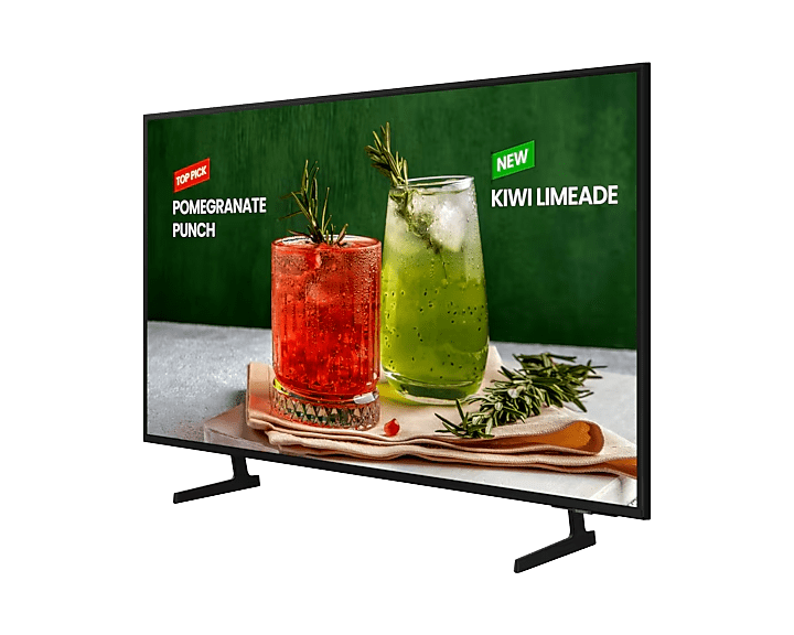 Samsung Professional Display BE55D-H