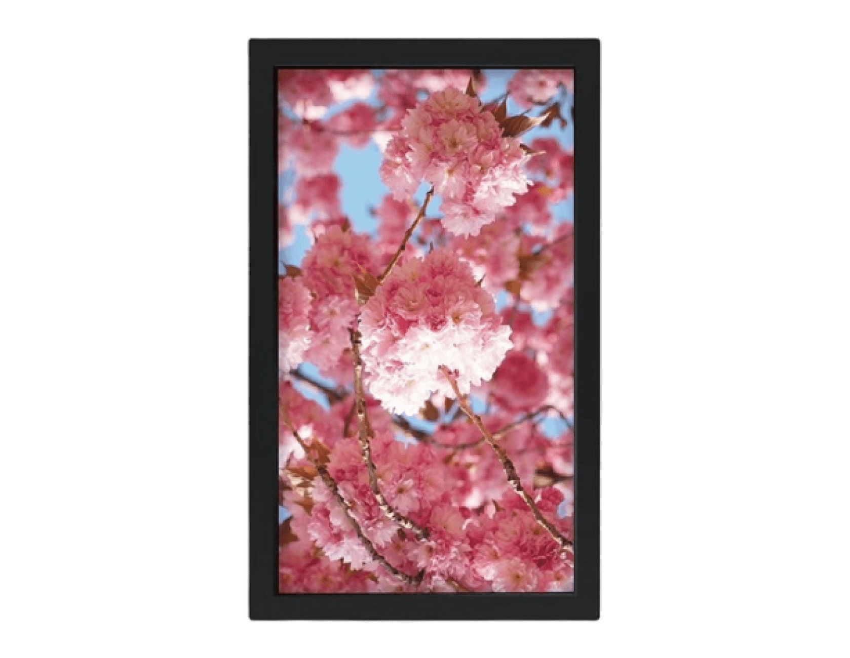 Litemax Sunlight Readable LCD DPD4305-AGU