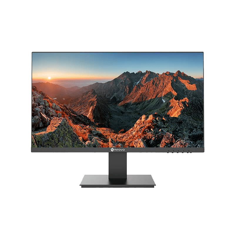 AG Neovo Professional LCD LA-2403