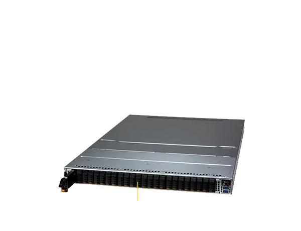 Supermicro Server SSG-121E-NES24R-G1
